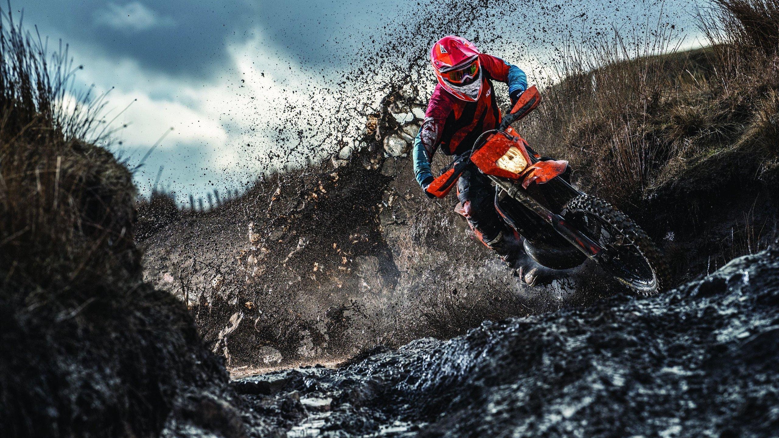 里肯盛赞哈兰德进球如开闸洪水，多特蒙德誓言带着欧战成果强势回